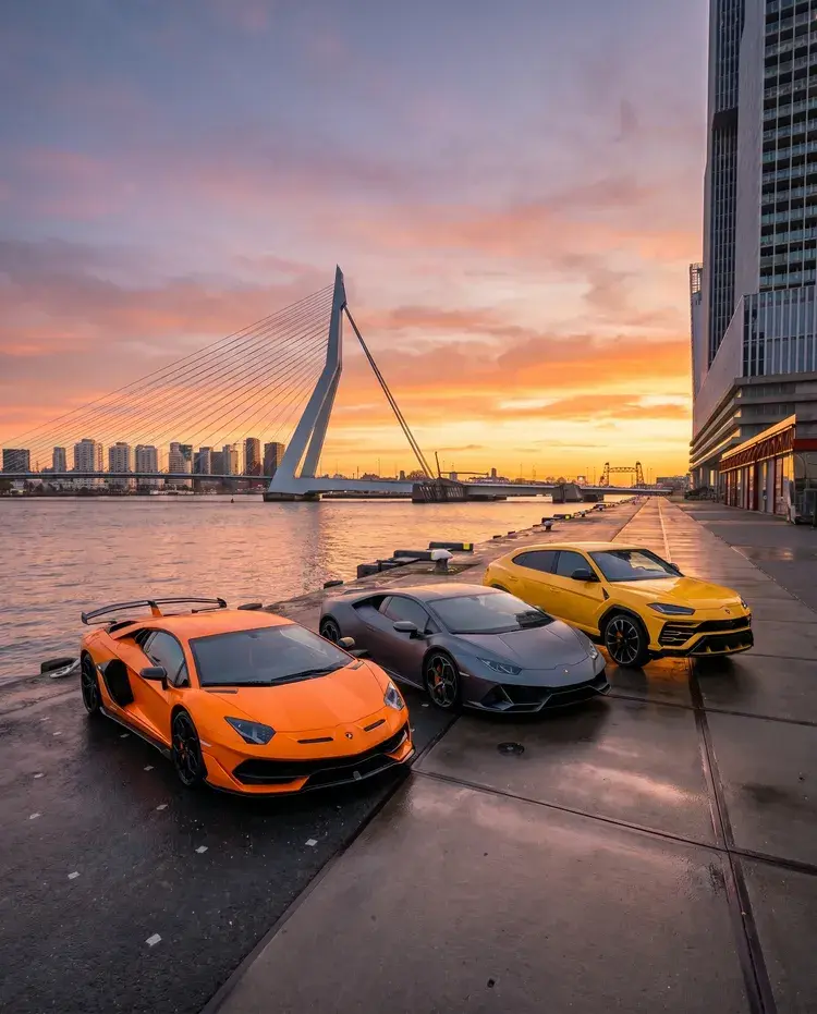 Inland Water bridge spot in Rotterdam